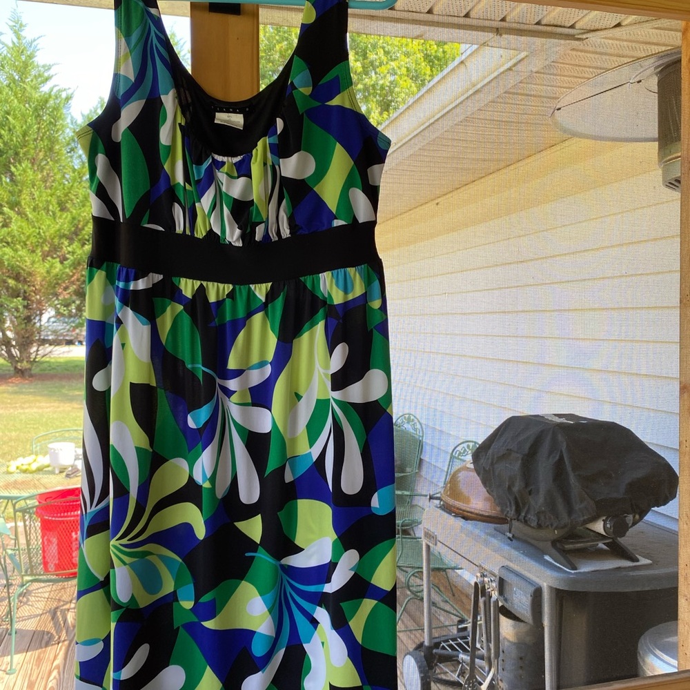 Tiana B Print Large Dress